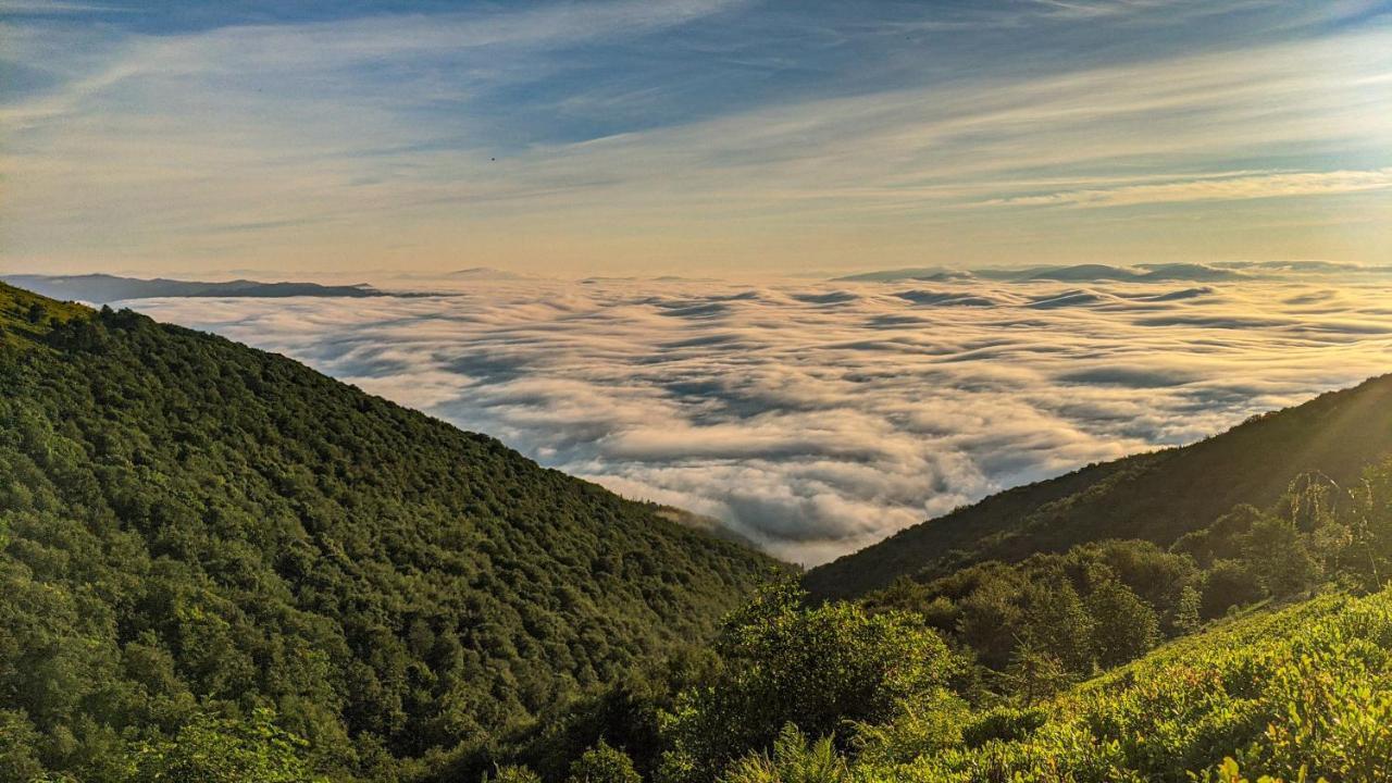 Hotel Gostynna Rodyna Izky Exteriér fotografie