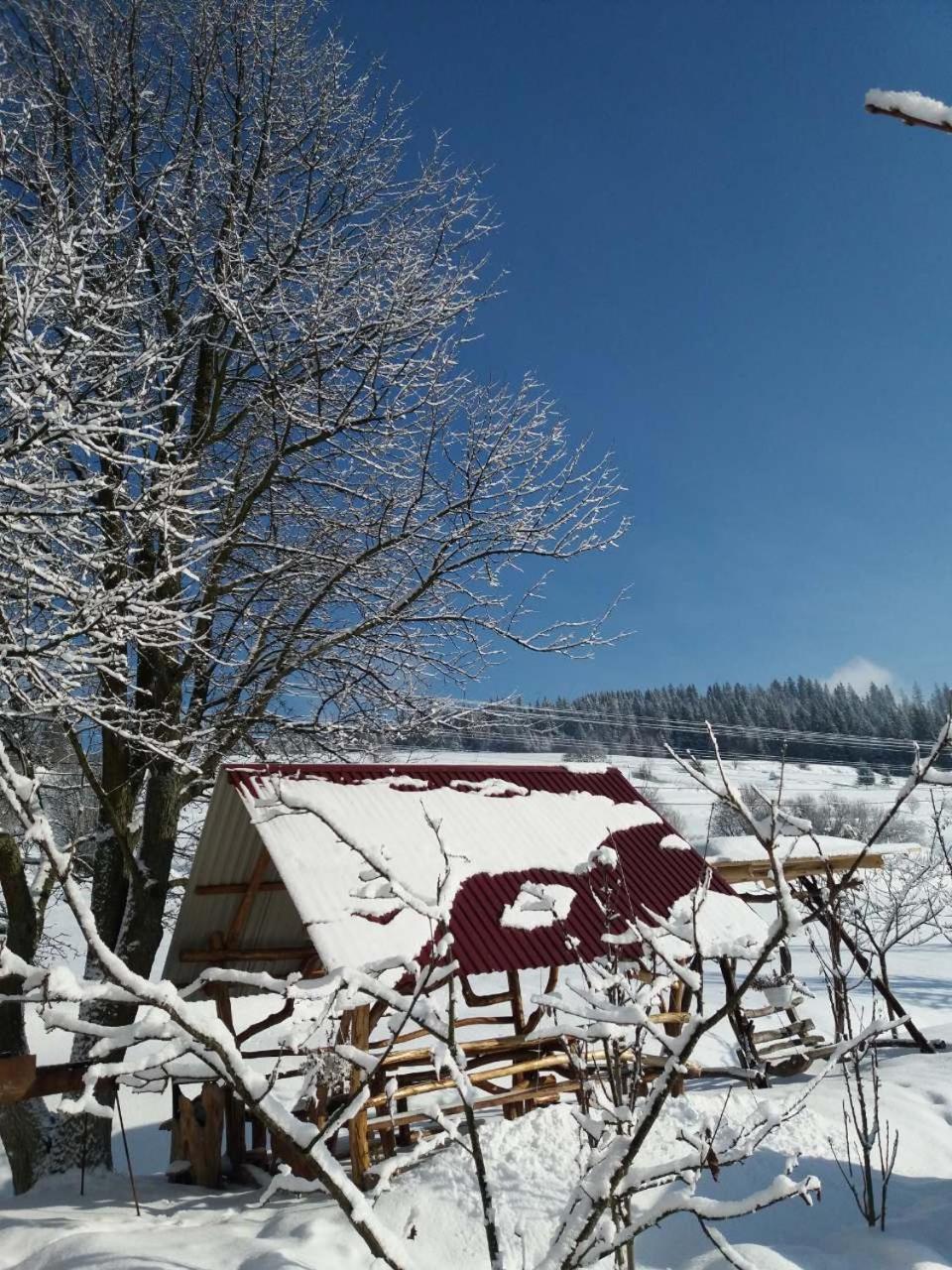 Hotel Gostynna Rodyna Izky Exteriér fotografie