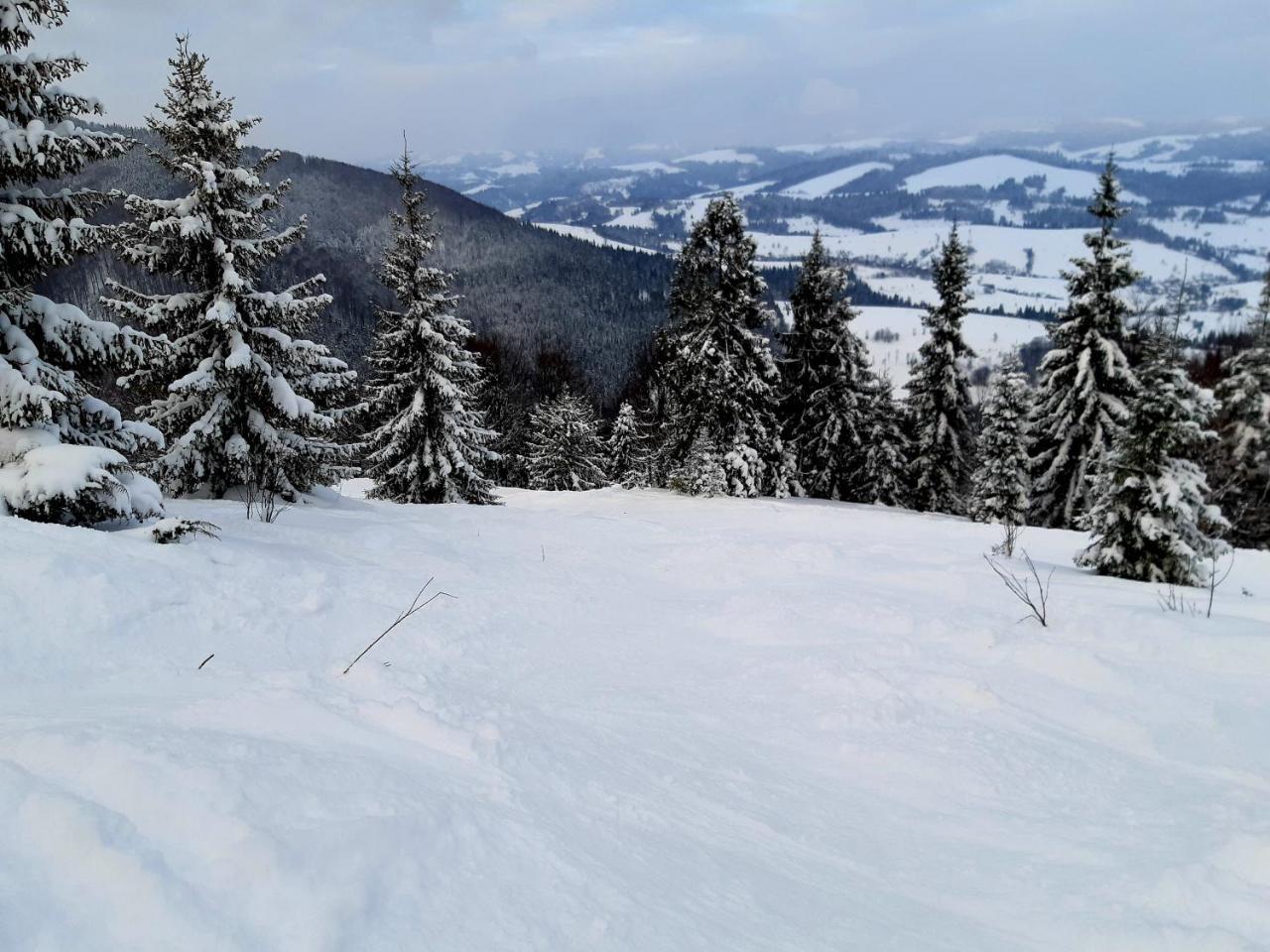 Hotel Gostynna Rodyna Izky Exteriér fotografie